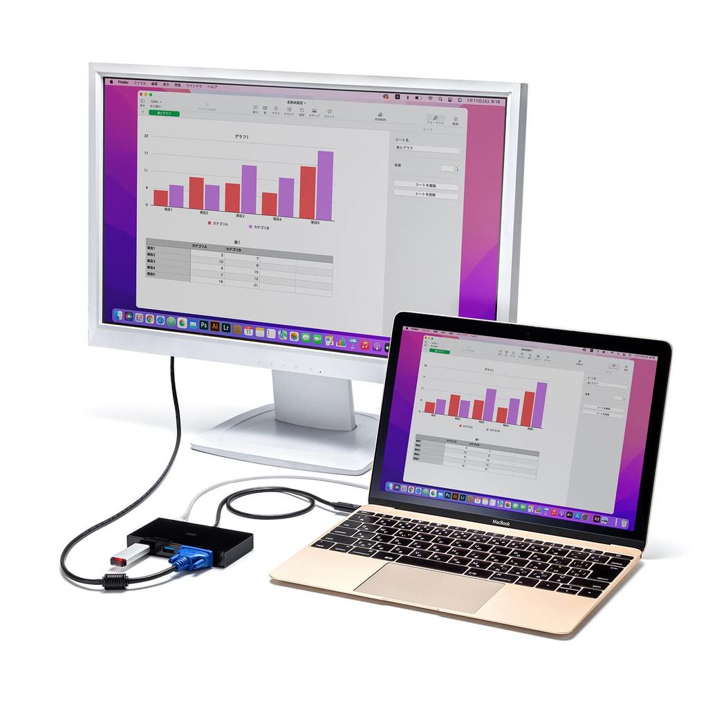 Sanwa Supply USB VGA 2 1 PD100W Integrated Type-C Hub, 3.2 Gen1, 5Gbps, 1080p, A-Type Connectors, Type-C Connector, Pass-Through, Cable, 50cm,