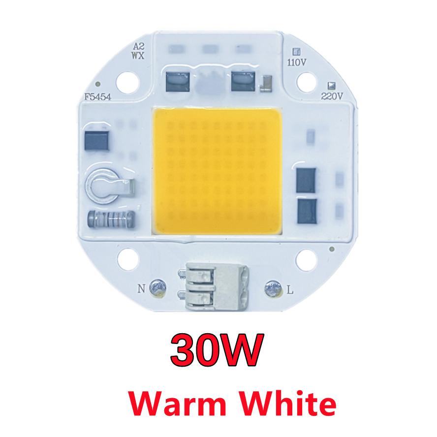 RnnTuu 110V 220V LED Chip 20W 30W 50W COB Chip Kein Treiber erforderlich LED Lampenperlen für Flutlicht Scheinwerfer Lampada DIY Beleuchtung