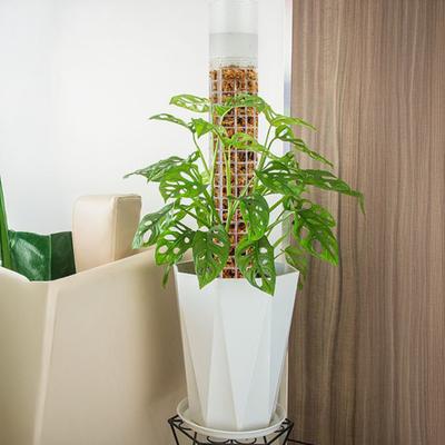 Tutor de Musgo de Riego Automático con Malla para Soporte de Plantas, Apilable, Soporte para Plantas Monstera, Tutores de Musgo de Plástico para Plantas Trepadoras en Maceta