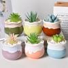 Koundeneko Succulent Set of Ceramic 2 Small Cactus Stylish Tabletop Bonsai Mini Ceramic Home Shop Interior Plant Housewarming Gift for Plant Suitable