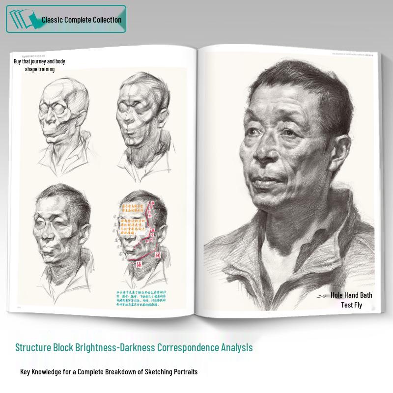 Comprehensive Sketch Portrait Guide: Structure, Depth & Analysis Tutorial