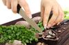 Szklana płyta ochronna na kuchenkę 80x52 Orzechy