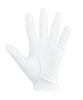 [ZEROFIT] Inspiral Gloves Golf Gloves Men's Women's Golf Wear Gloves Non-Slip Grip For Both Hands