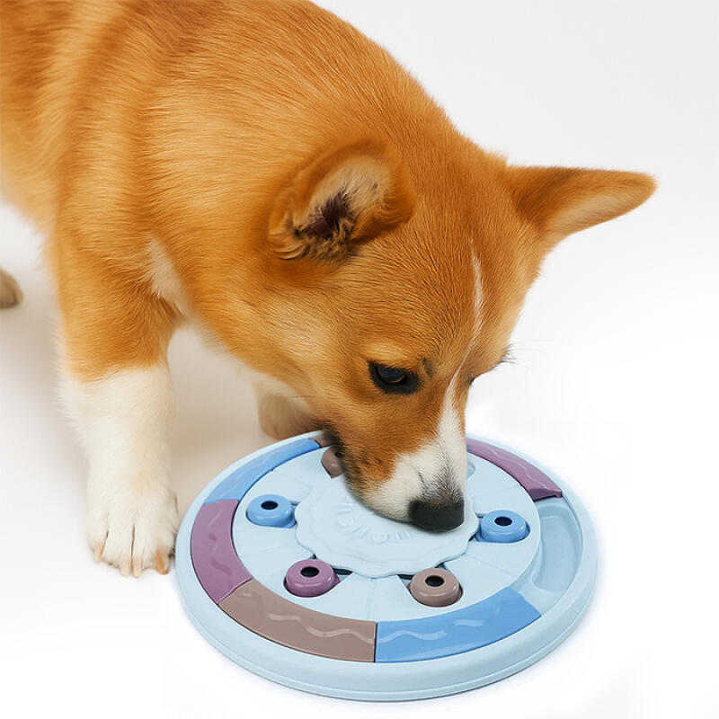 Pizza Nosework Treat Separation Anxiety Toy Nosework (NDFPT003)