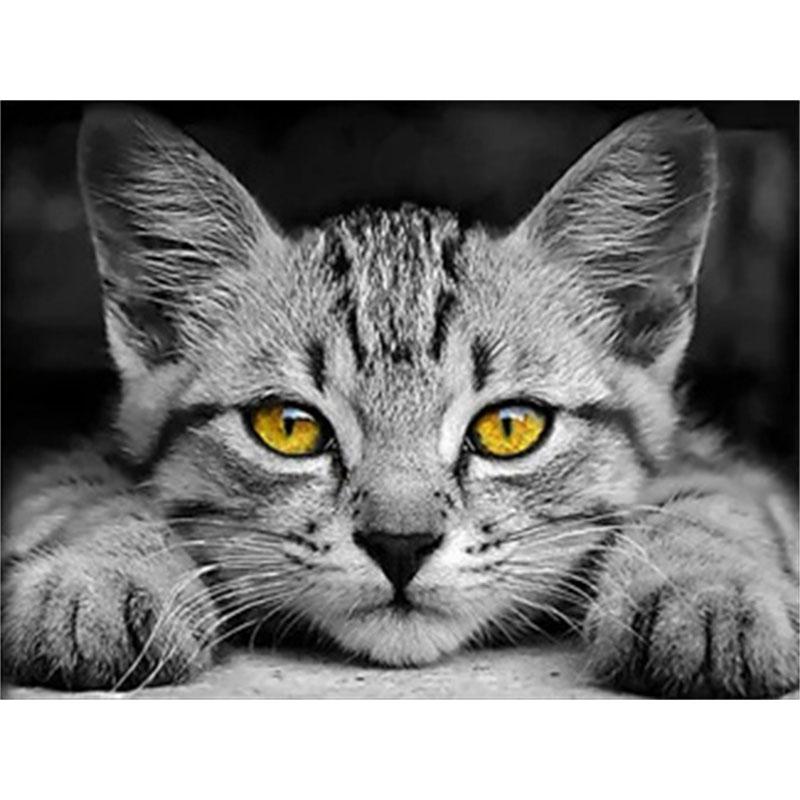 

DIY Алмазная картина Котенок Набор для вышивки крестом Мозаичное искусство Алмазная картина Полный круг/квадрат Алмазное украшение для дома Round 30x40cm