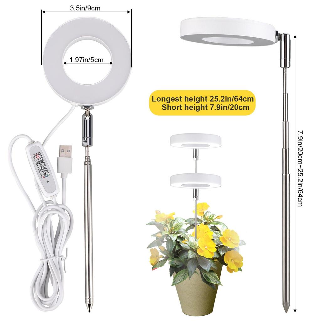 Indoor LED Angel Ring Grow Light for Plants and Succulents