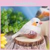 Holz Vogel Dekoration Mit Natürlicher Oberfläche Für Büro Und Zuhause Geschenkideen