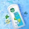 Dettol Mint Icy Cool Shower Gel