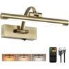 Tassuowell Rechargeable Picture Light with Remote Control,12 Inch Brass Finish Adjustable Wireless Art Lighting Fixture,Painting Lights with Timer,3