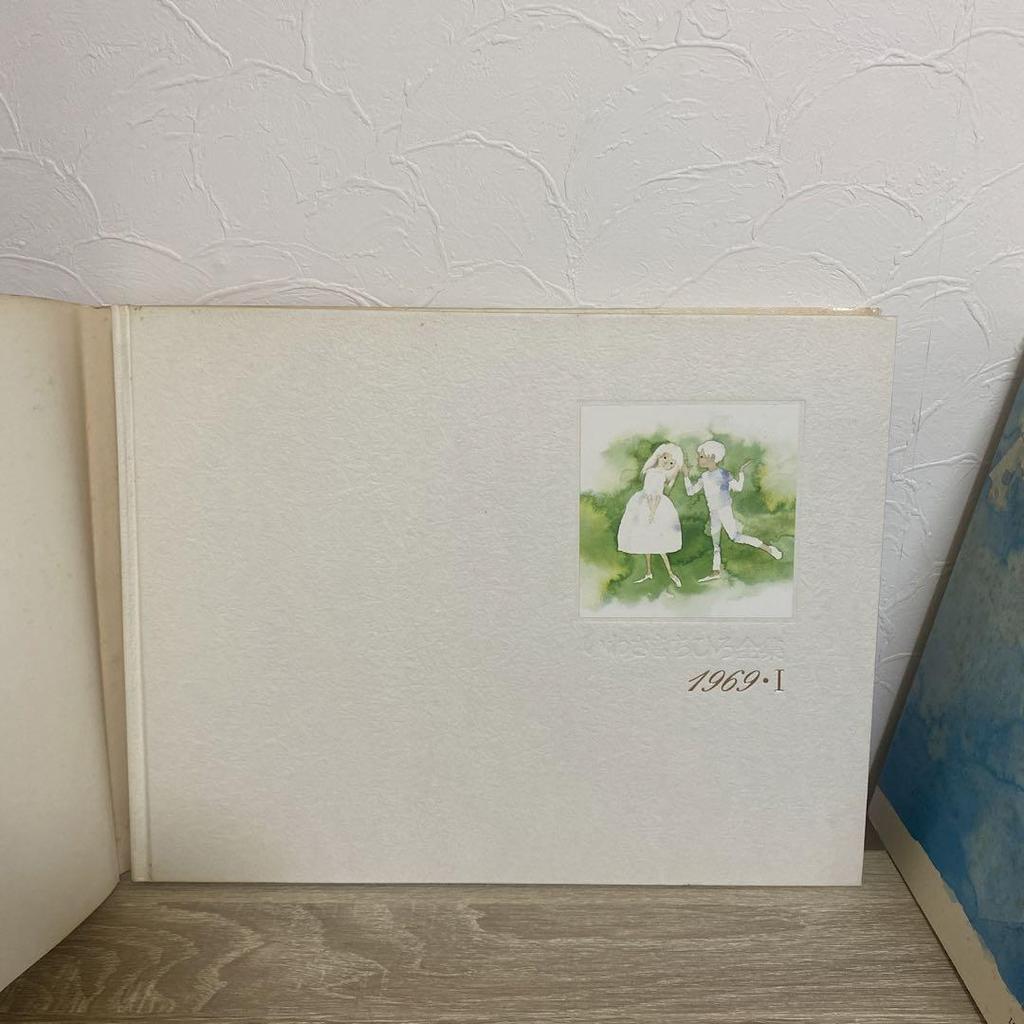 [USED] Chihiro Iwasaki Complete Works, 10 Volume Set, Art Book