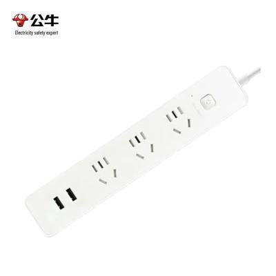 New National Standard Power Strip