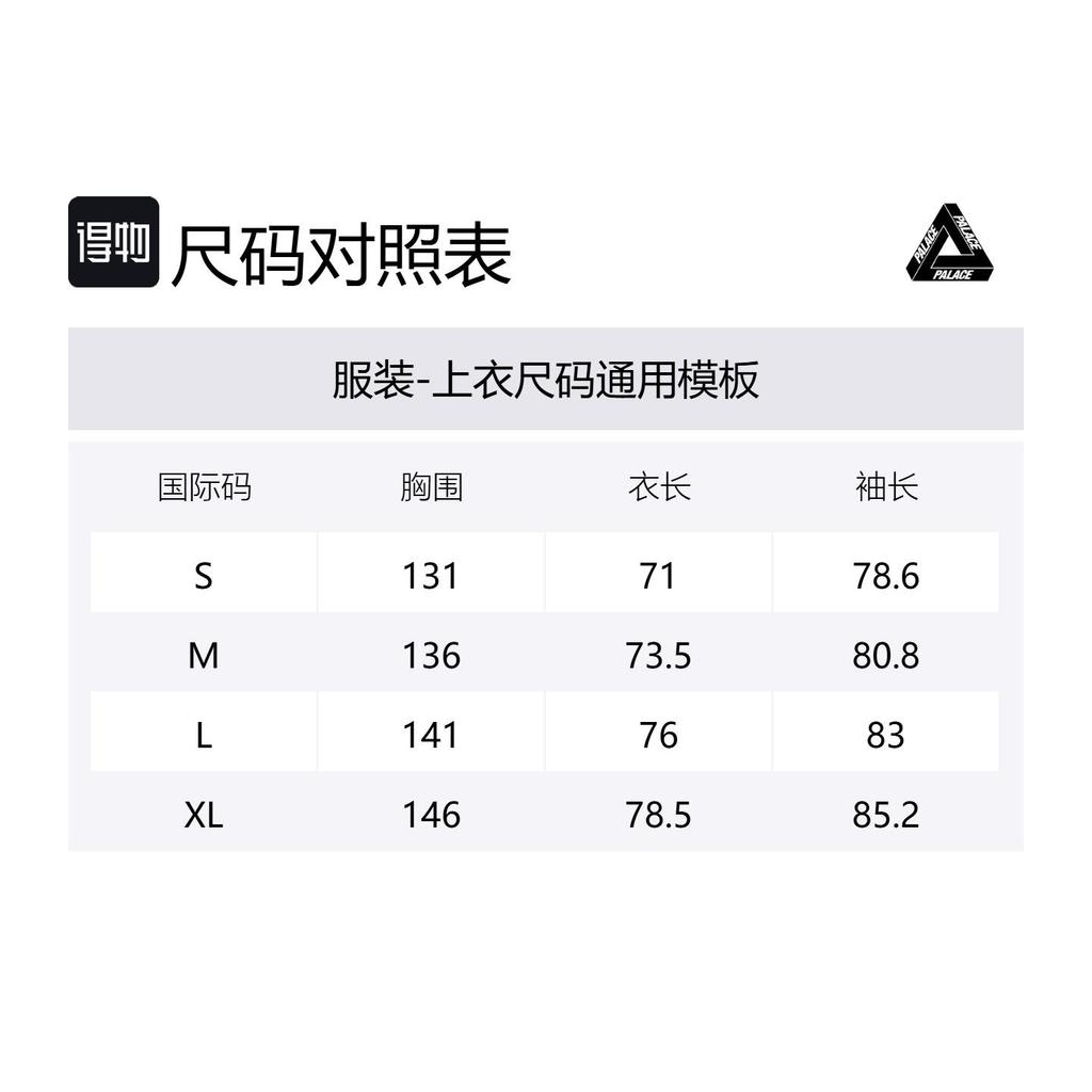 PALACE More Powder Jacket P27JK116