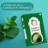 Chounk Pure And Natural Mint Powder | Pudina Powder with No Added Flavors & No Preservatives  - 200 Grams (100 Grams X Pack of 2)