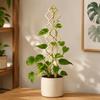 Înverzire şi amenajare – Susținere plante