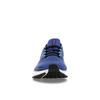 Nike Air Zoom Pegasus 41 Astronomy Blue Men Sneakers Black Baltic-Blue Hot-Punch FD2722-401