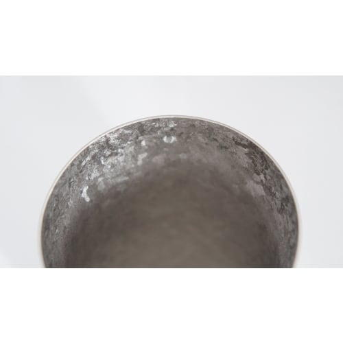 HORIE Pure Titanium Double-Walled Tumbler, High Insulation, Double-Walled, Kiln-Crafted, Premium, 350ml, Silver, T08KMS350