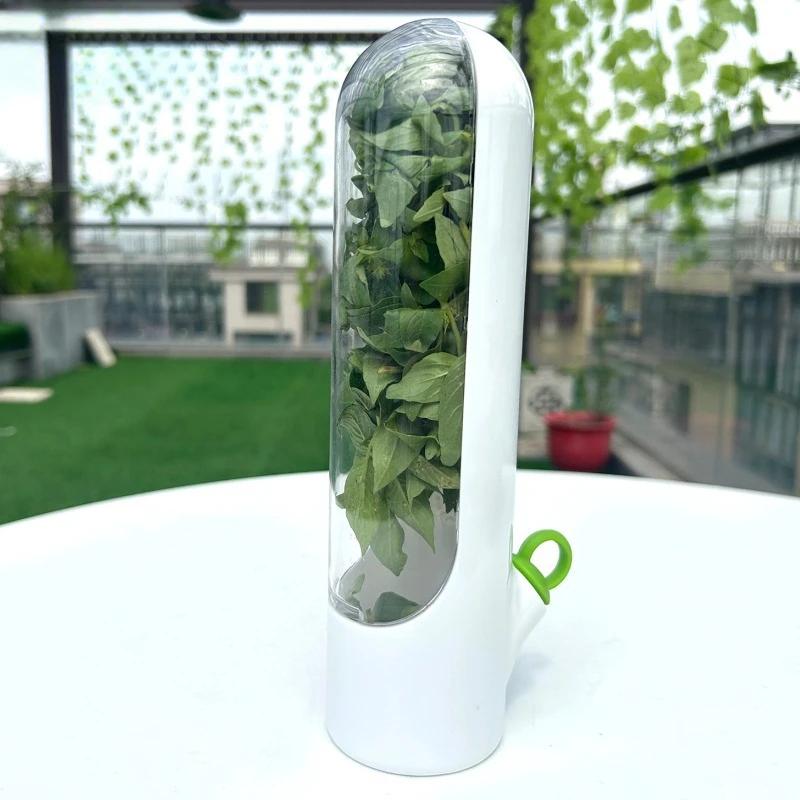Home Vanilla Fresh-keeping Box Refrigerator Vegetable Refrigerator Fresh-keeping Device Coriander Herbal Fresh-keeping Box