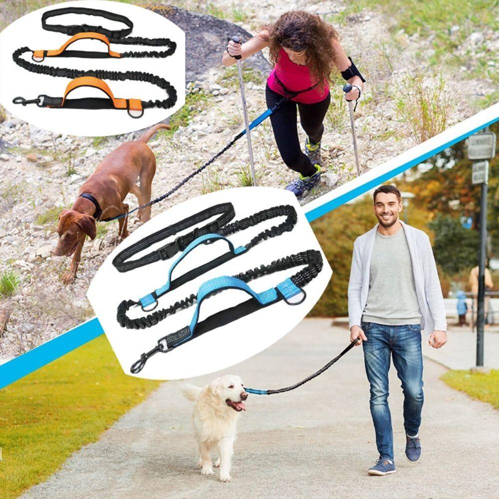 Adjustable Dog Traction Rope Hands Free Pet Leads Multifunction Dog Leash  Running