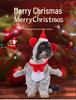 Christmas Pet Costume: Bat, Pirate, Clown, Delivery Outfit for Dogs