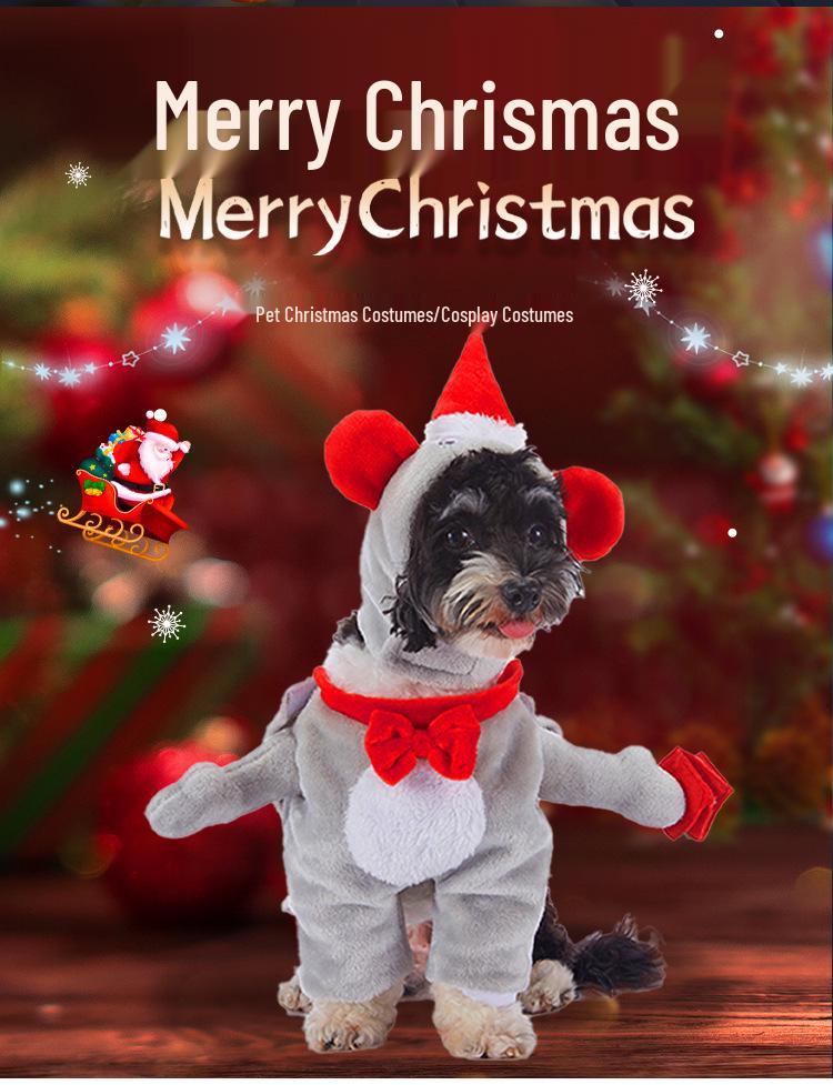 Christmas Pet Costume: Bat, Pirate, Clown, Delivery Outfit for Dogs