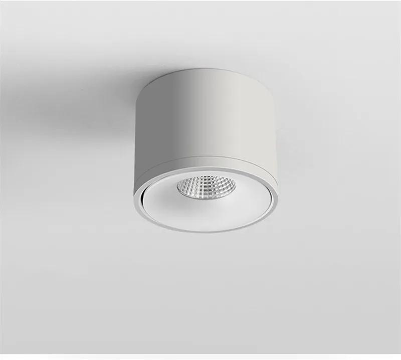 

LED Taiji surface mounted downlight COB universal adjustment without main light lighting wall ceiling spotlight 3W&Neutral light (4000K