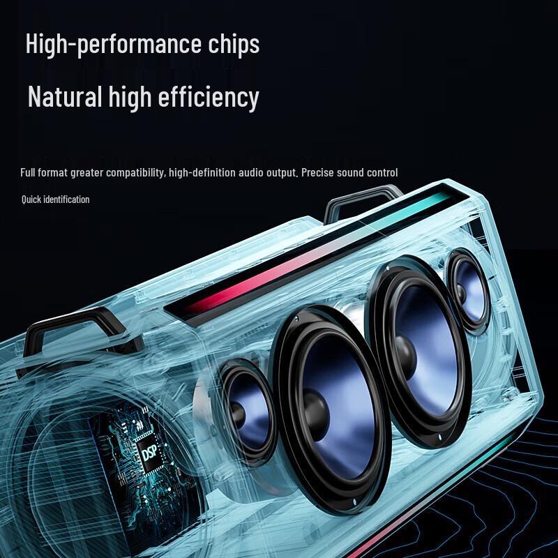 Soaiy SH05 Outdoor Karaoke Bluetooth Speaker with Dual Mics