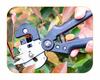 Sécateur de Greffage d'Arbres Cisailles de Jardinage pour Branches 3x Lames Ruban Pommade