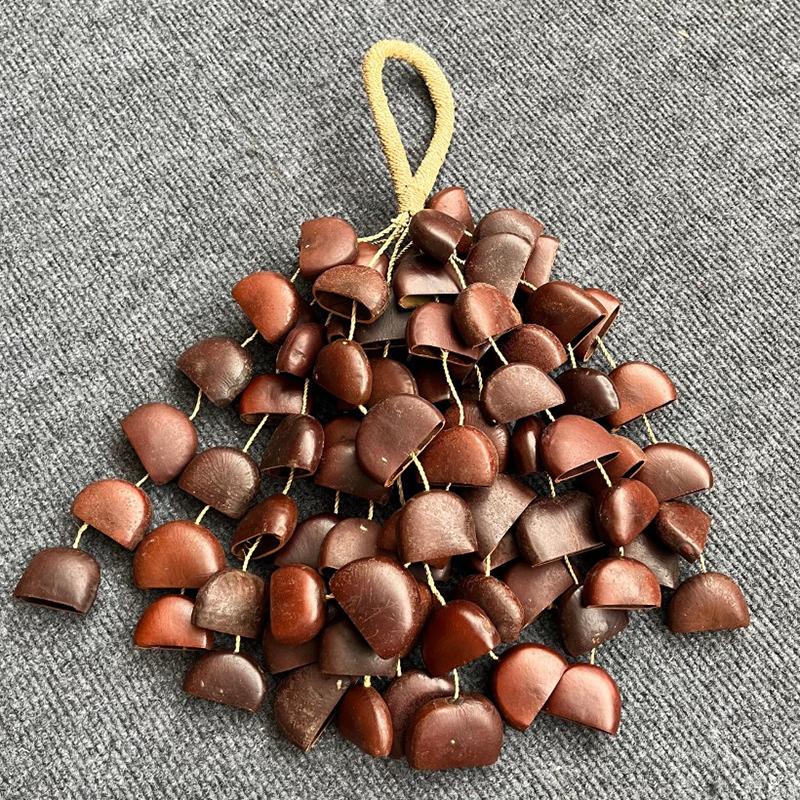 Wind Chimes Natural Seeds Ringing Hand Bell Percussion Rare Musical Instrument Healing Sounds Meditation Accessories