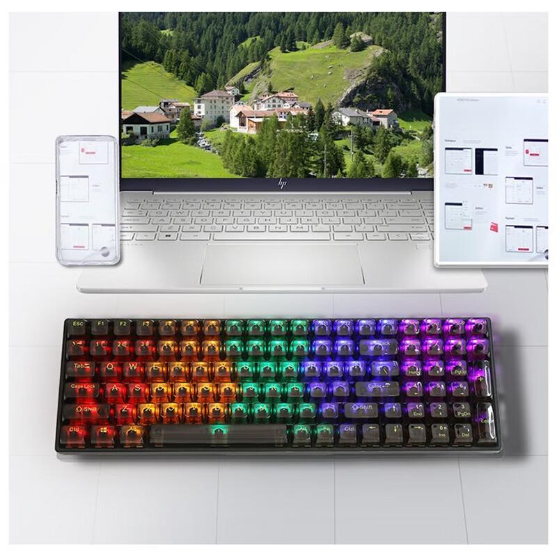 Y-FRUITFUL K10 100-Key Single Mode Wired RGB Mechanical Keyboard with Transparent Keycaps