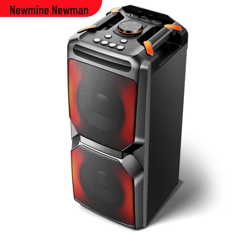 Newmine A2 Portable Bluetooth Karaoke Speaker