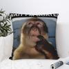 Decorative Pillowcase Thinking Monkey Meme  Merch Chair  Pillow Case Cover Zippered Multiple Sizes