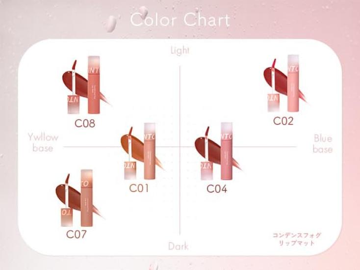 INTO U Tint Lip Condensed Fog Lip Matte Water Mud Lip Semi-Matte Long-lasting Non-drying #C04 Smooth Fig