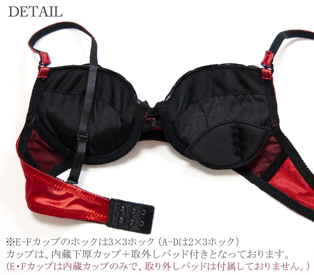 Laurea Core Core Red Bra and Panty Size Sexy Satin and Lace Stylish Floral Print Bra and Panty Set for Women In Their Bra and Panty Set Women's Set,