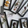 Reusable Flower Plant Display Frame 3D Transparent Jewelry Storage Case  Sample Exhibition Stand
