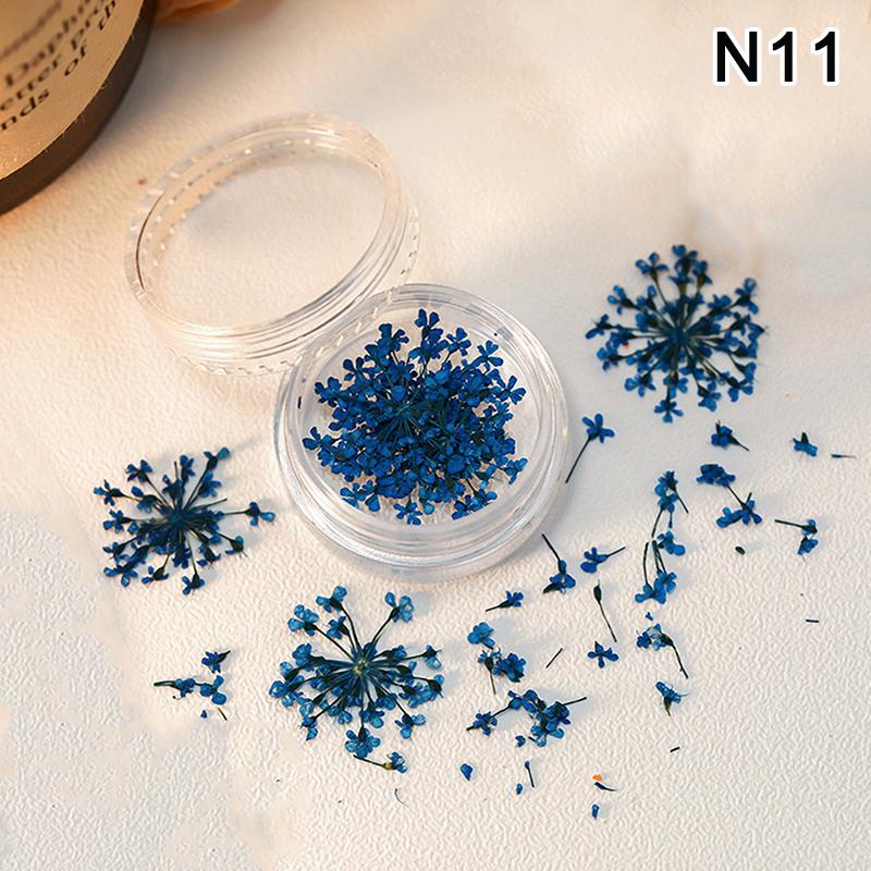 5 st/ask 3D torkade blommor nagelkonstdekorationer torkade blommor klistermärken gör-det-själv manikyr berlocker design för nageltillbehör