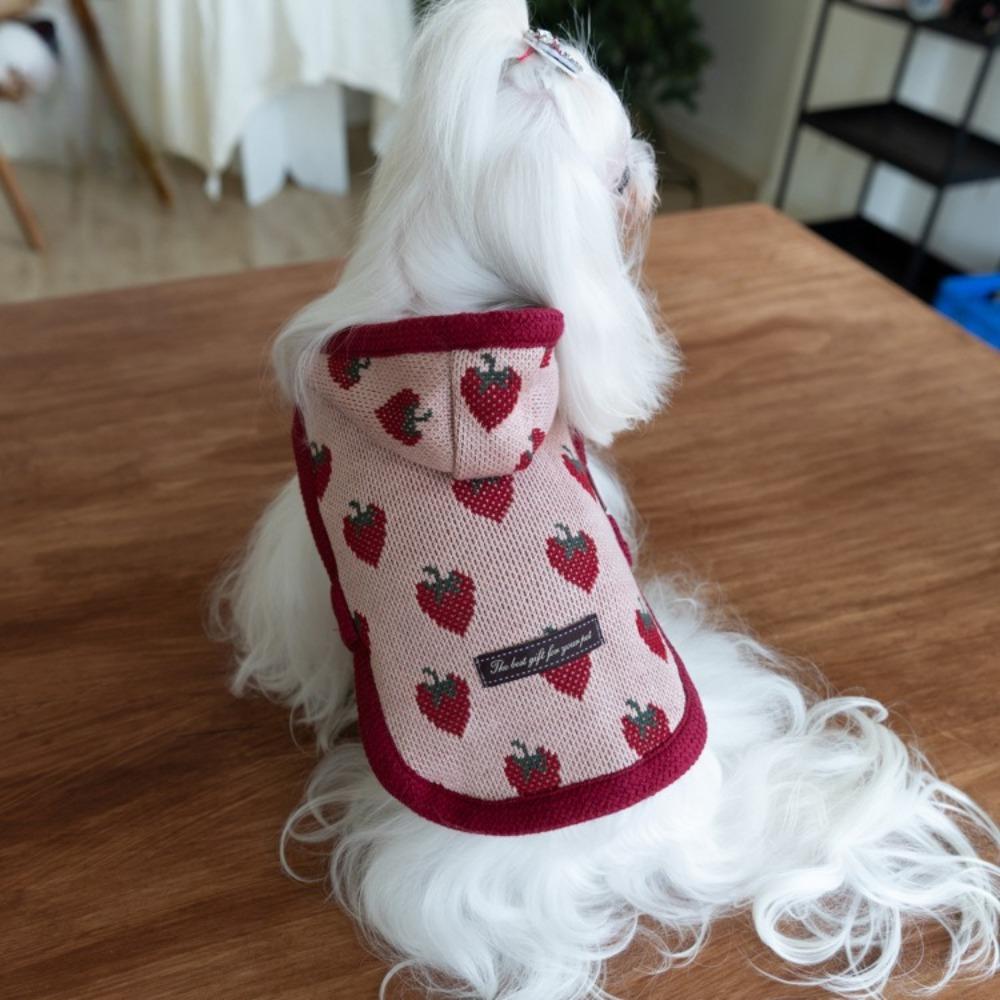 Pet Winter/Autumn Warm Hoodie Pet Strawberry Cloak Teddy Cute Coat Dog Clothes for Small Dogs Puppy Clothes