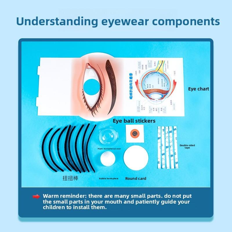 Simulierte Augenstruktur Bausatz Experiment Spielzeug Set Für Kinder