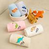 Dinosaur Name Embroidery Kindergarten Towel Set of 5