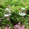 2pcs for Indoor Potted Plants Automatic Self Watering Garden Tools Dog-Shaped Easy To Use Plant Watering Globes Glass Bulbs