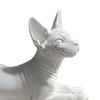 3D-gedruckte Sphinx-Katzenfigur, Realistische haarlos-Katzenstatue, Liegende Skulptur mit geschwungener stabiler Basis, Mattweißes Ornament für Schreibtischregal