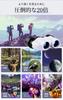 Optical 20x Magnification Binoculars for Live and and Weighing Just Features Bak4 Adjustable FMC and Image Stabilization for Reduced Motion Ideal for