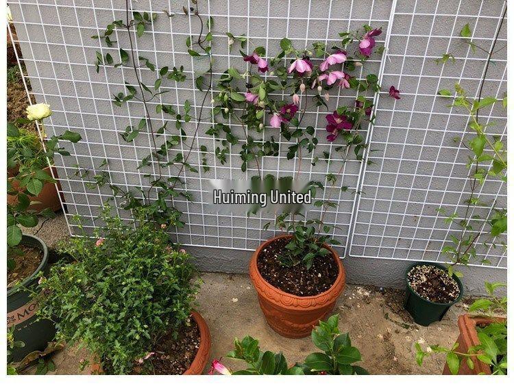 Iron Mesh Wall Decor & Pet Barrier Rack System