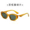 European American Stylish Ladies Sun Glasses Cat Eye Shape UV Ray Blocking Sun Glasses for For Men High Quality Sun Glasses For Women