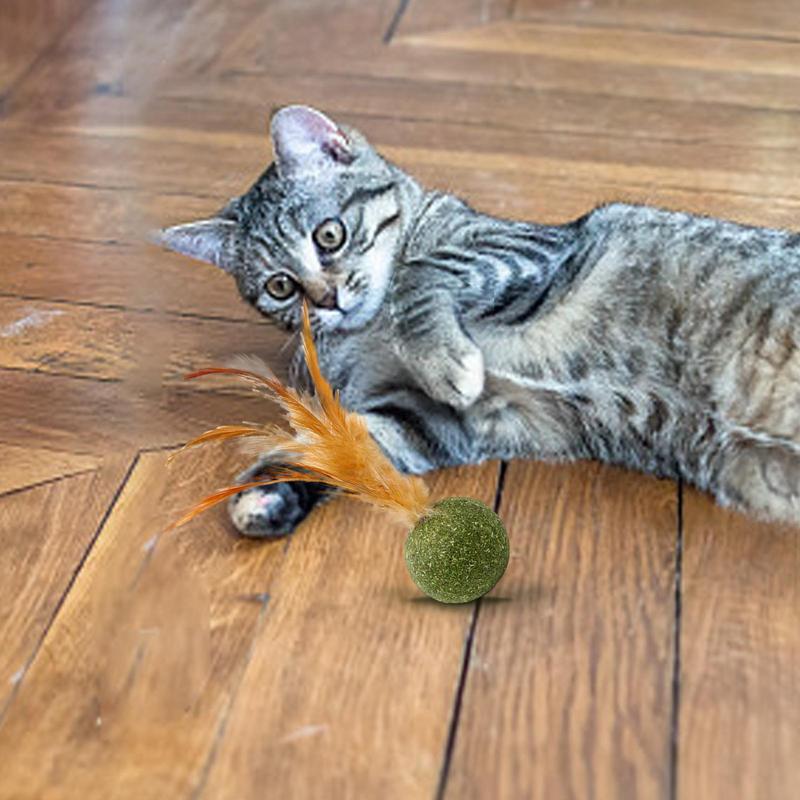 Catnip Balls for Cats Kitten Feather Edible Ball Interactive Cat Toys Indoor Cats Kicker Toy Teeth Cleaning Hairballs Removal