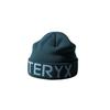 Arcteryx Word Head Toque  Aepfu07590nib 