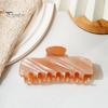 Anti Slip Hair Grips for Bun Pearlescent Claw Clip, Non-Slip Clip Women, Elegant Strong Styling Clips Long Hold Accessories Styling, Decorative Daily