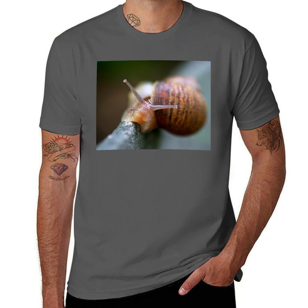 Snail Tshirt Plus Size All Match Tee Shirt