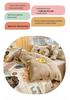 Aesthetic Powder Pink Spring/Summer Washable Cotton Bedding Set - Dorm-Friendly Duvet Cover and Sheets