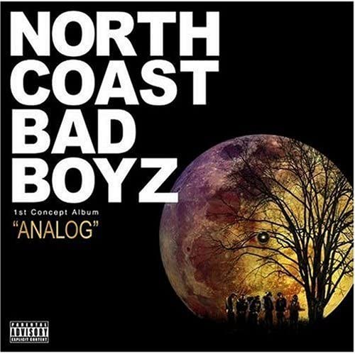 

CD NORTH COAST BAD BOYZ; BIG RON - ANALOG WHCD43 Japan ObiMusic Others Used