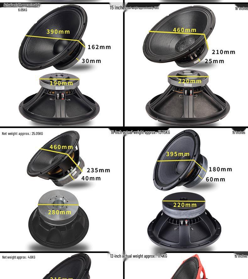 6.5-21 inch High-Power Mid-Bass Pro Stage Speaker with Neodymium Magnet